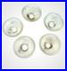Antique_Set_of_5_Glass_Gasolier_Shades_Victorian_Serrated_Edge_Light_Shades_01_svt