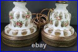 Bohemian Lamps Beautiful Opalescent Blown Glass Parts with Hand painted Roses