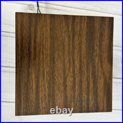 FOR PARTS Lava Simplex STARBURST Fireworks Fiber Optic Light Motion Lamp MCM vtg