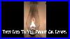 How_To_Use_A_Victorian_Oil_Lamp_01_gafn