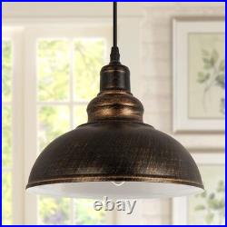 Industrial Plug in Pulley Pendant Light with 19.5ft Cord On/Off Switch, Vinta