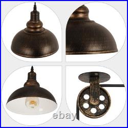 Industrial Plug in Pulley Pendant Light with 19.5ft Cord On/Off Switch, Vinta