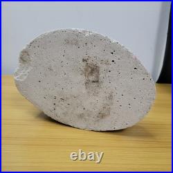 Vintage Art Nouveau Nautilus Sea Shell Figure Desk TV Lamp Abalone Florida Parts