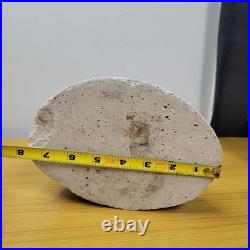 Vintage Art Nouveau Nautilus Sea Shell Figure Desk TV Lamp Abalone Florida Parts